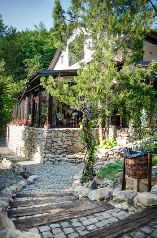 Pensiune-Restaurant Tara Luanei Sărata-Monteoru Zewnętrze zdjęcie