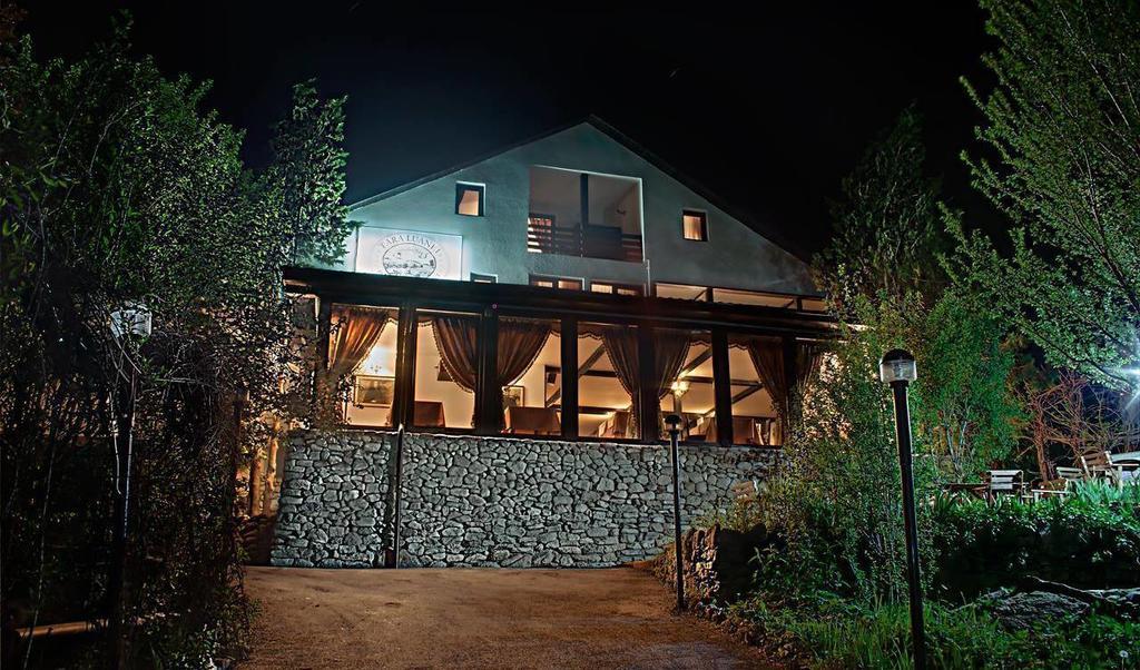 Pensiune-Restaurant Tara Luanei Sărata-Monteoru Zewnętrze zdjęcie