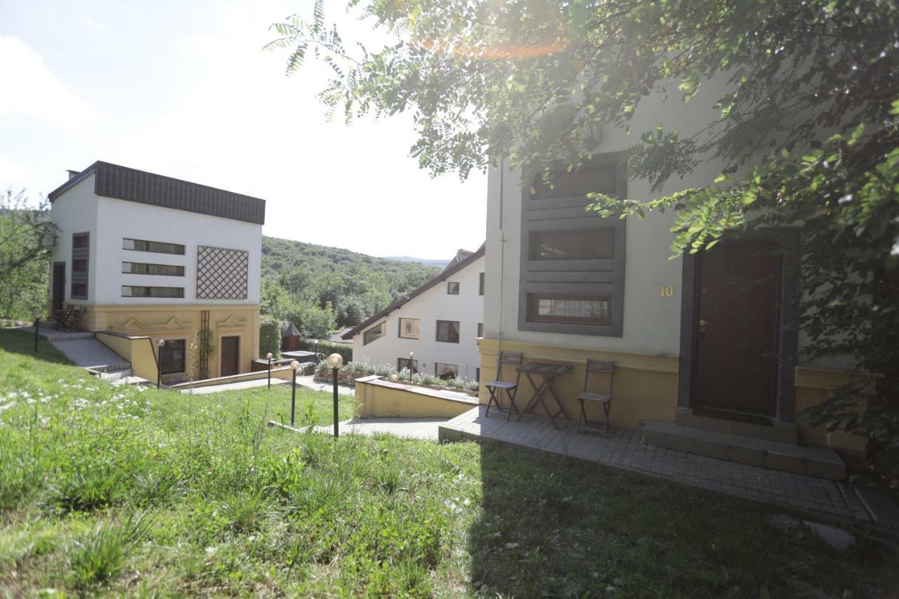 Pensiune-Restaurant Tara Luanei Sărata-Monteoru Pokój zdjęcie